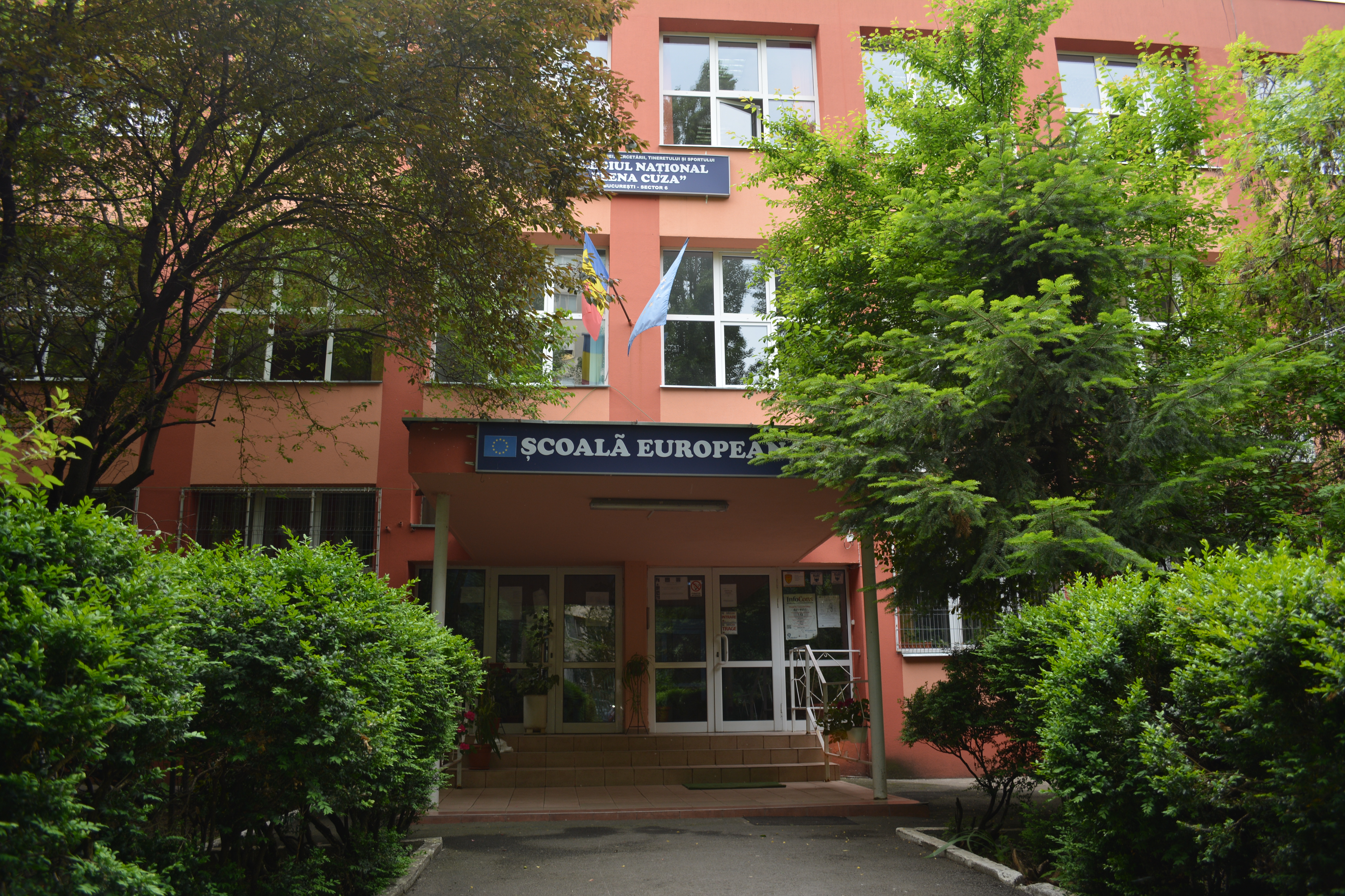 Colegiul Național Elena Cuza